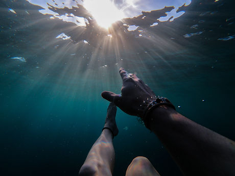 Image by Cristian Palmer