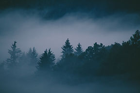 Image by Jakub Kriz