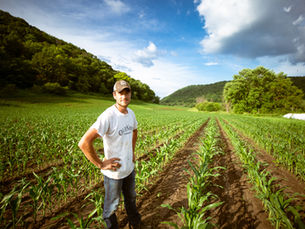 Régimen agrario - Preguntas frecuentes