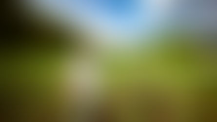 USDA Steps In with $11 Billion to Help Struggling Farmers