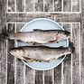 Image by Gregor Moser