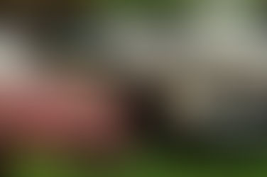 Accident de la circulation sur l'A63 : indemnisation de plus de 80 000 € pour un homicide involontaire