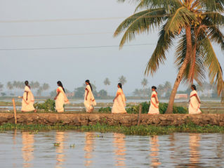 Paysage du Kerala en Inde, terre traditionnelle de l'Ayurveda