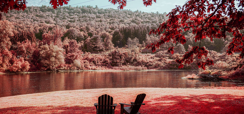 Image by Jack Cohen