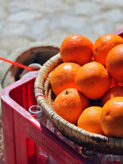 a bag of oranges in a basket