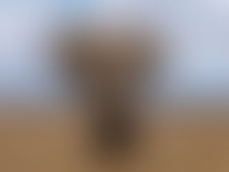 HANNIBAL IP OBTAINS MORE 5G PATENTS