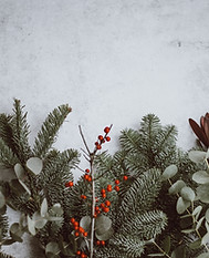 Image by Annie Spratt