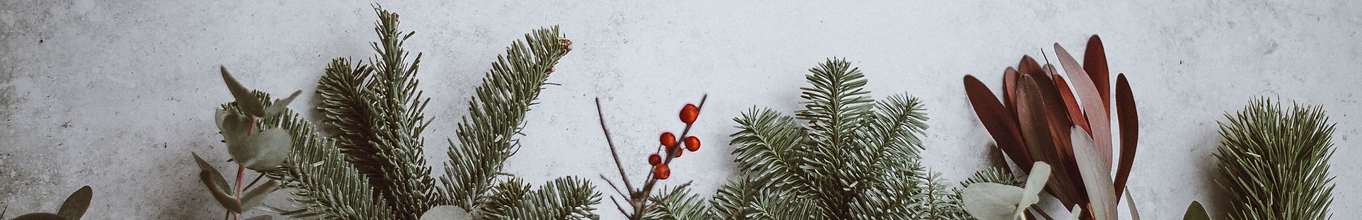 Image by Annie Spratt