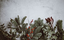 Image by Annie Spratt