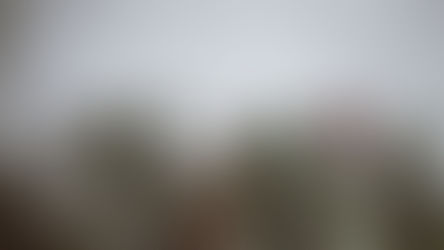 Entering the Fullness of Time