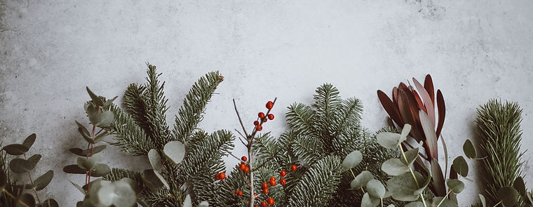 Image by Annie Spratt