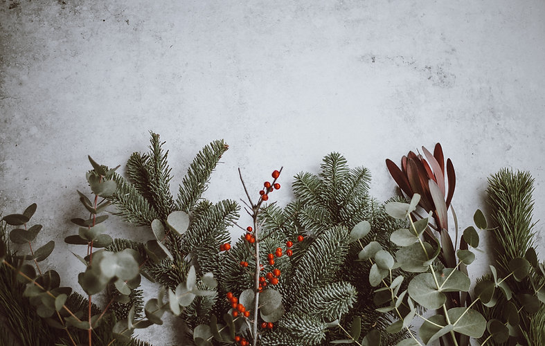 Image by Annie Spratt