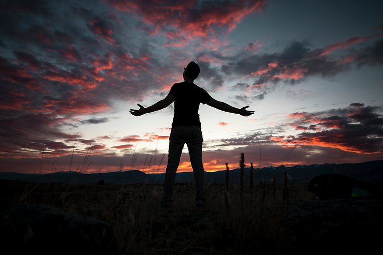Image by Steve Halama