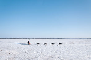 Image by Ali Inay