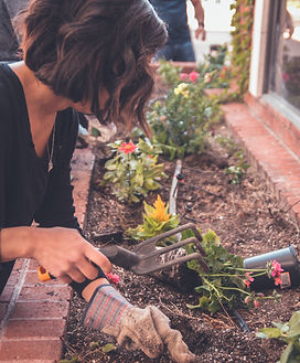 Image by Kenny Eliason