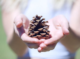 Eco-Personas and AI: Redefining Customer Segments for Green Campaigns