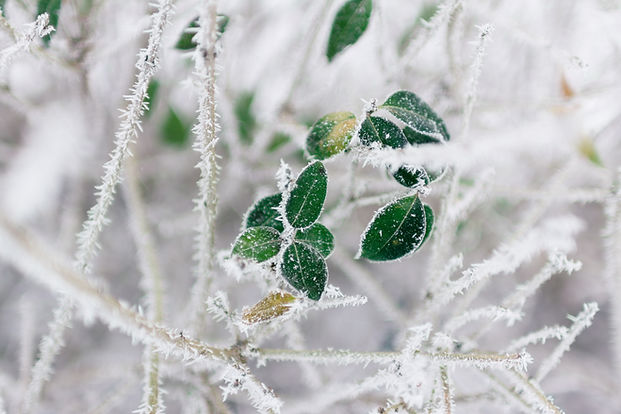 Image by Rodion Kutsaev