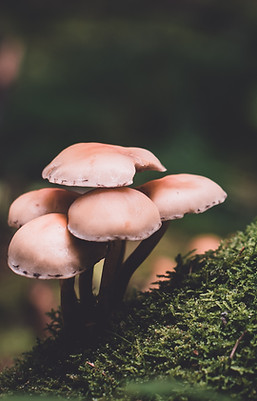 Image by Presetbase Lightroom Presets