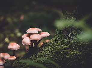 Image by Presetbase Lightroom Presets