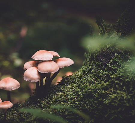 Image by Presetbase Lightroom Presets