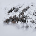 Image by eberhard grossgasteiger