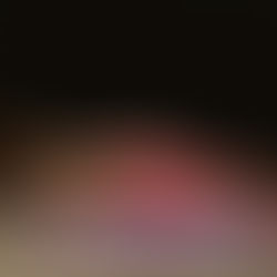 Work Off The Christmas Pudding With This Fat Blasting HIIT Workout