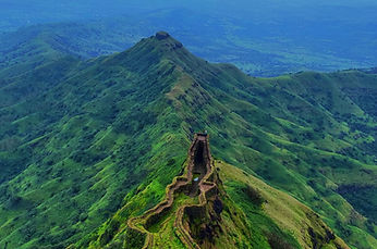 Image by Sebastian Pena Lambarri