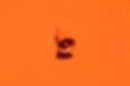 speaker in orange