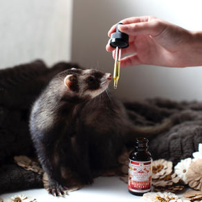 Phytothérapie et compléments alimentaires : mise en garde.