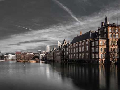 Travel to The Hague with a dog. Tips for walking routes, sights and hotels in The Hague