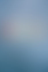 Four different leaves on a wooden floor.