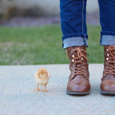 shoes and a chick