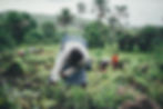 Webinar: Challenges for Sustainable Agriculture and Farming