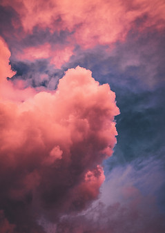 Image by Andrea Ferrario
