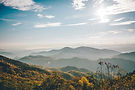 Image by Wes Hicks