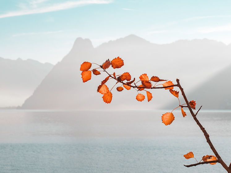 Image de Simon Berger