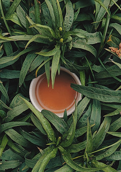 Image by Aniketh Kanukurthi