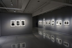 Image by Eric Park