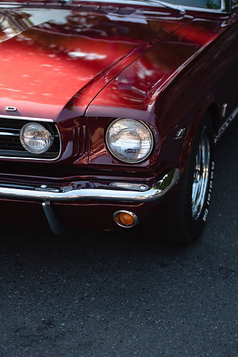 Image by Sam Warren