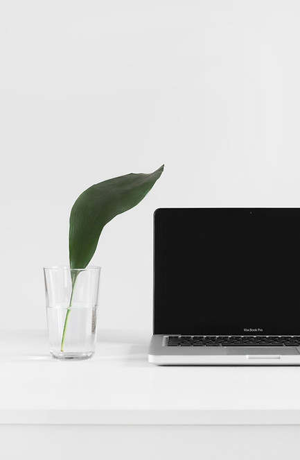 Branding Logo Design