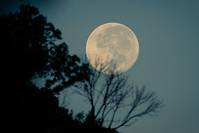 Image by Alexis Antonio
