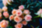 Send funeral flowers for sympathy