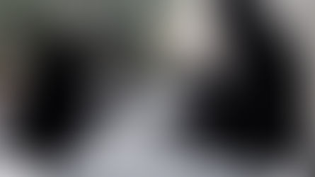 A poesia veste burca