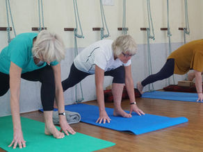 Exercise Guide for Healthy Living