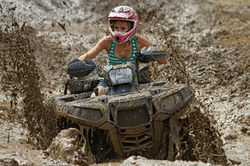 Image by Paul Chambers