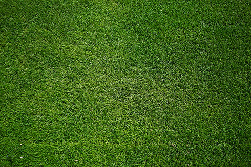 Image by Free To Use Sounds