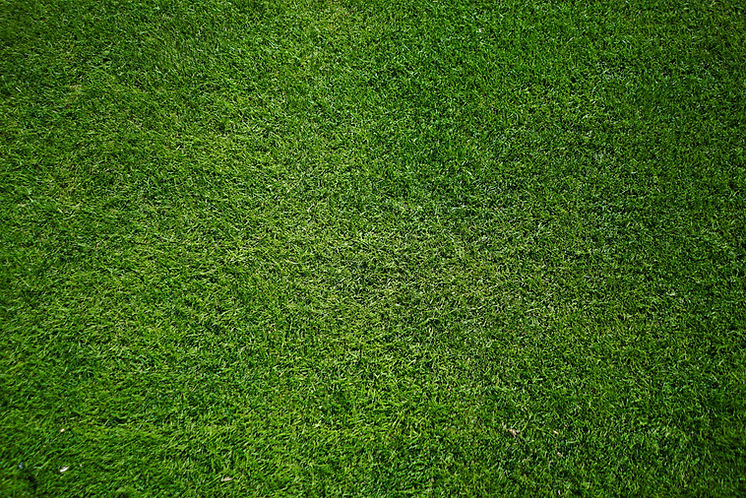 Image by Free To Use Sounds