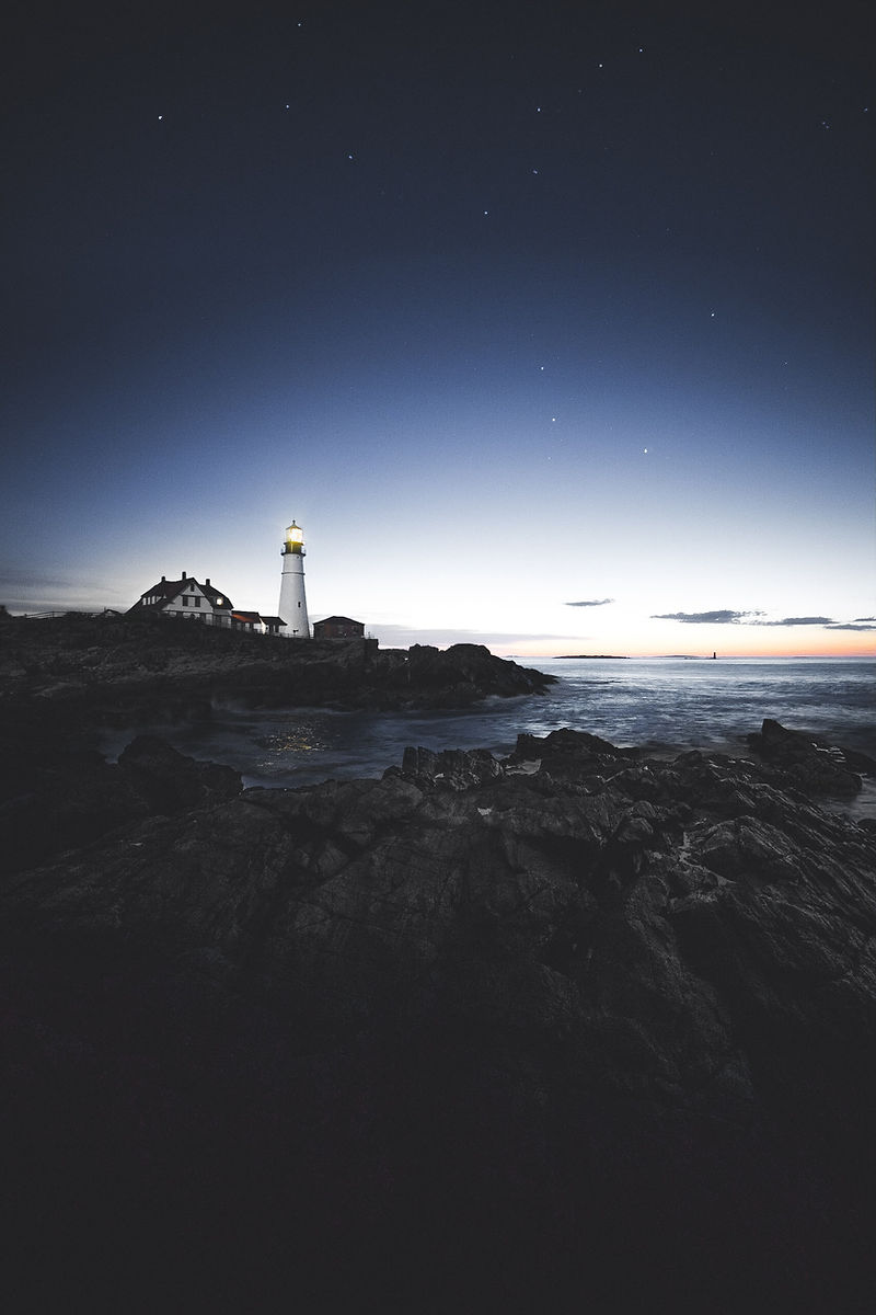Image by Mitch Mckee