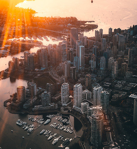 Image by Brayden Law