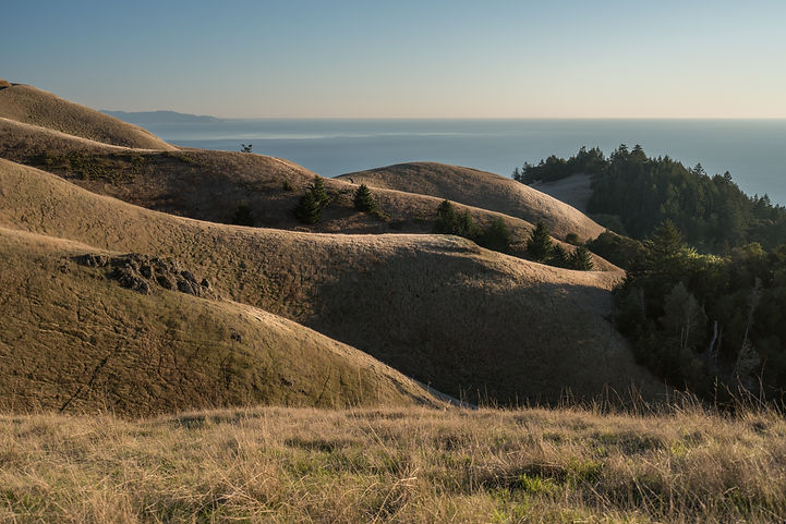 Image by Joshua Sortino